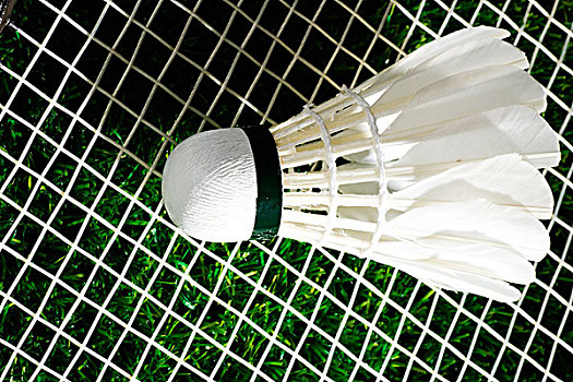 科技的滥用 科技的滥用