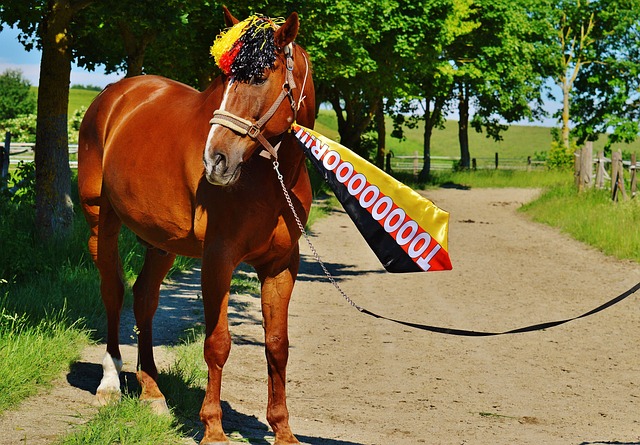 角色球员的 角色球员的