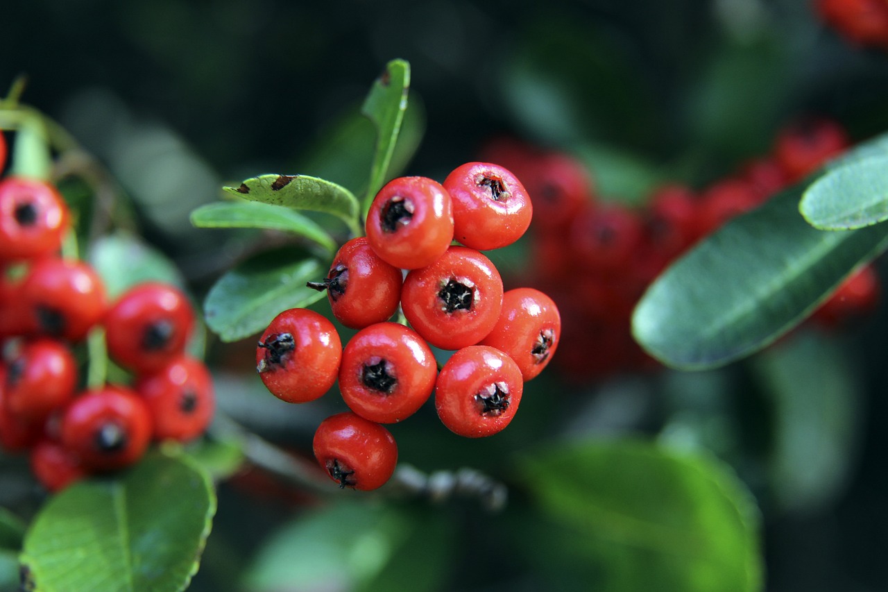 运动员可以 运动员可以