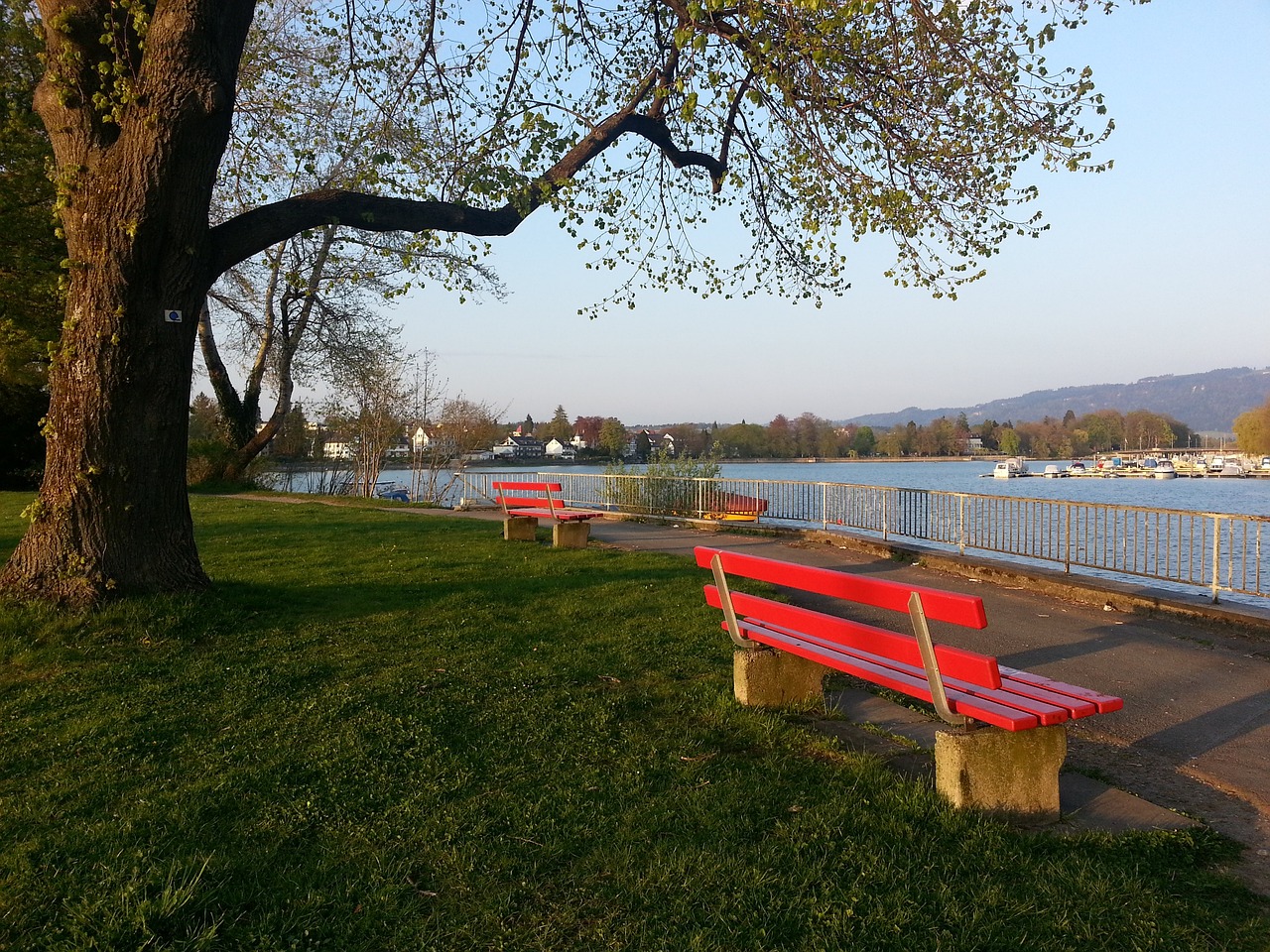 但他們晉級 但他們晉級